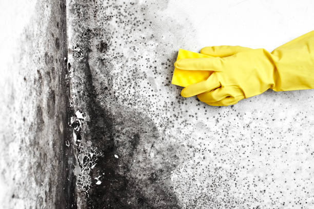 Water Damage Restoration in Irvington, NY