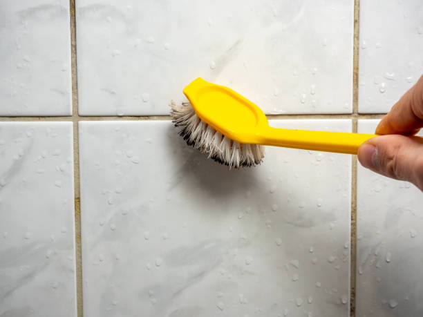 Professional Mold Removal in Irvington, NY