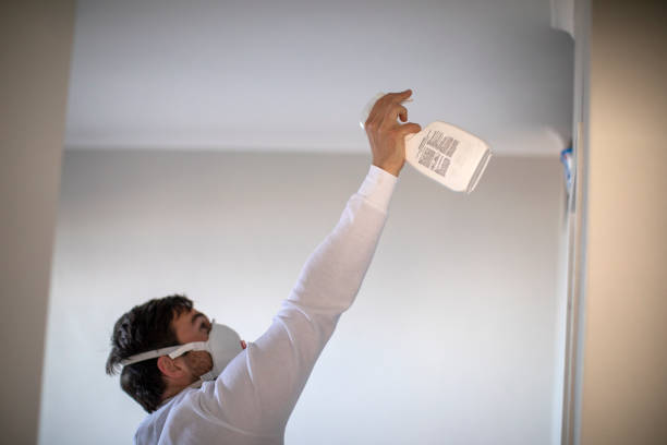 Best Affordable Mold Removal  in Irvington, NY