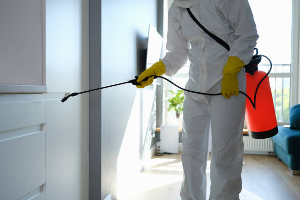 Best Commercial Mold Removal  in Irvington, NY