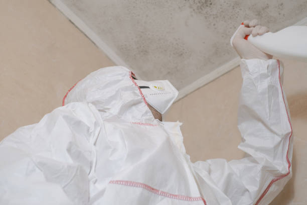 Best Office Mold Removal Services  in Irvington, NY
